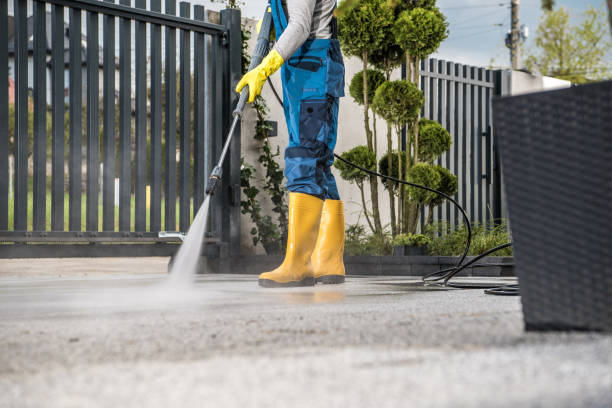 Best Dumpster Area Cleaning  in Bonneau Beach, SC